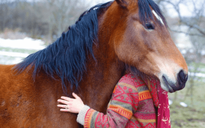 EQUINE ASSISTED THERAPY